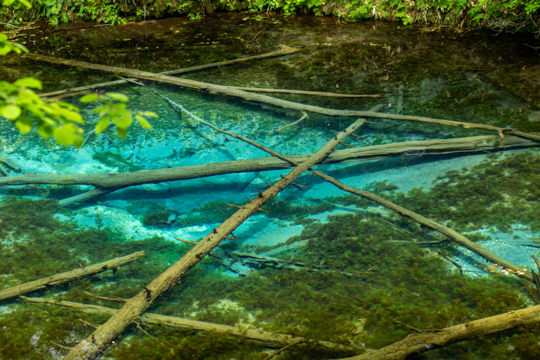北海道の絶景スポット神の子池のアクセス、名前の由来、青い理由